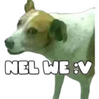 NEL WE :V