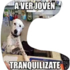 A ver joven tranquilízate