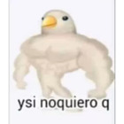 Y si noquiero q