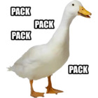Pack, pack, pack, pack