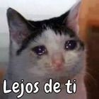Lejos de ti