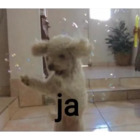 Ja