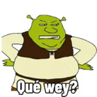 Que wey?