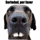 Seriedad, por favor