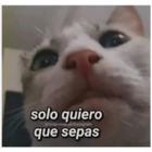 Solo quiero que sepas