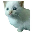 Sticker #607353