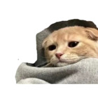 Sticker #623402