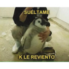 SUELTAME K LE REVIENTO