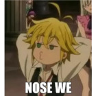 NOSE WE