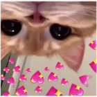 Sticker #646174