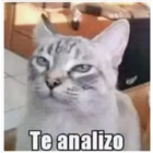 Te analizo