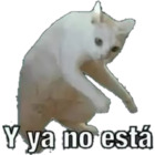 Y ya no esta