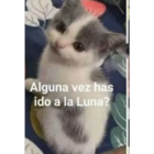 Alguna vez has ido a la Luna?