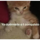Ya duermete o t conquisto