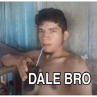 DALE BRO