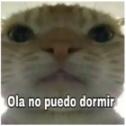 Ola no puedo dormir
