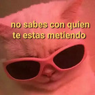 No sabes con quien te estas metiendo