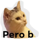 Pero b