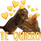 Te quiero