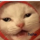 Hehe