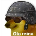 Hola reina