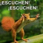 ¡ESCUCHEN! iESCUCHEN!