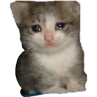 Sticker #899932