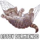 ESTOY DURMIENDO