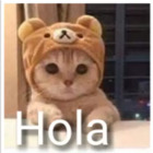Hola