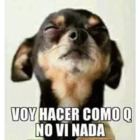 Voy hacer como que no vi nada