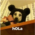 Hola