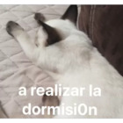 A realizar la dormision