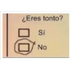 ¿Eres tonto? Si o No