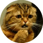 Sticker #030752