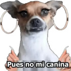 Pues no mi canina