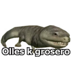 Olles k grosero