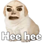 Hee hee