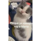 Porque yo siempre voy a Marte