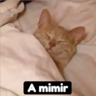 A mimir