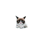 Sticker #150537