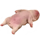 Sticker #231883