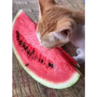 Sticker #322123