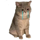 Sticker #332362