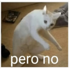 Pero no