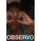 Observo