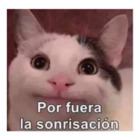 Por fuera la sonrisacion
