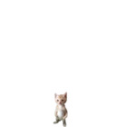 Sticker #377385