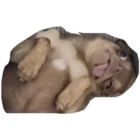 Sticker #381191