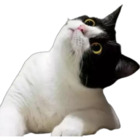 Sticker #387976