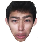 Sticker #395112